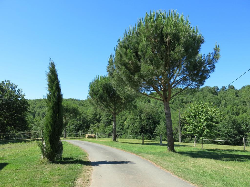 Domaine De Cimelia